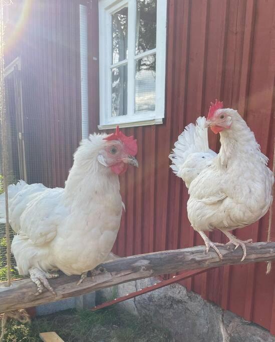 Gamla Ersgarden I Ersmark Умео Экстерьер фото